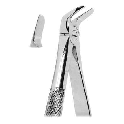 Extracting Forceps