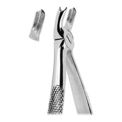 Extracting Forceps