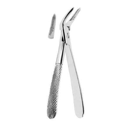 Root Splinter Forceps