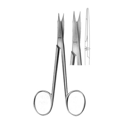 Oral Delicate Scissors