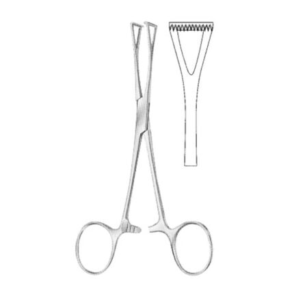 Tissue Forceps